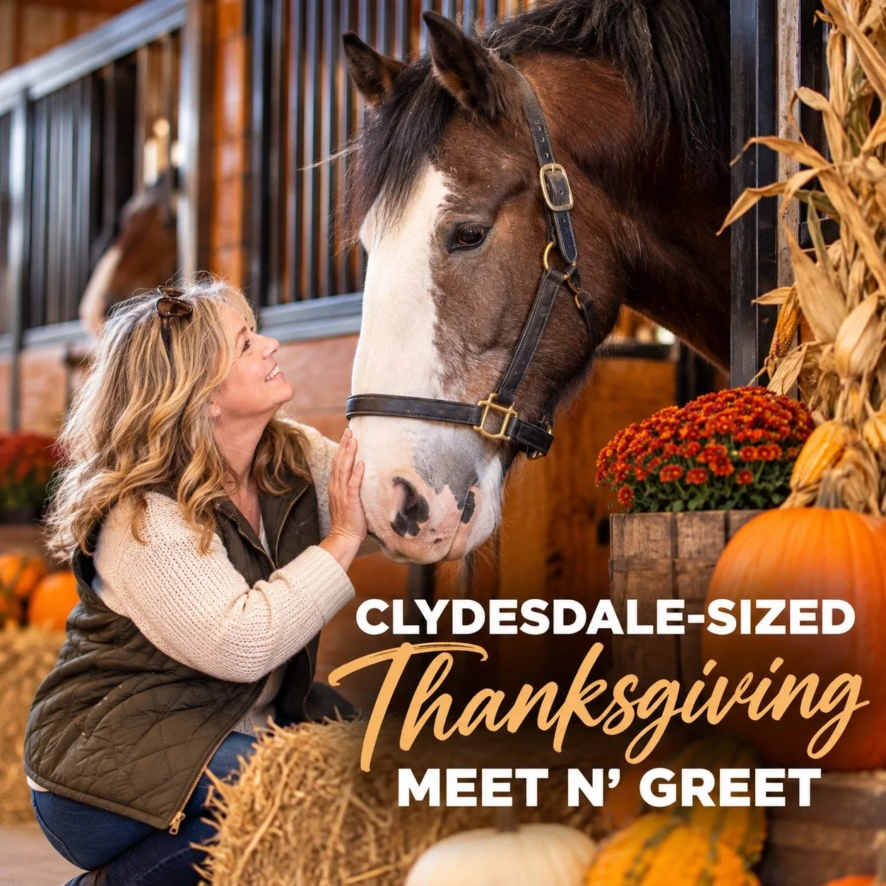 11/25/26 CLYDESDALE-SIZED THANKSGIVING MEET N' GREET 10:00AM - 11:00AM