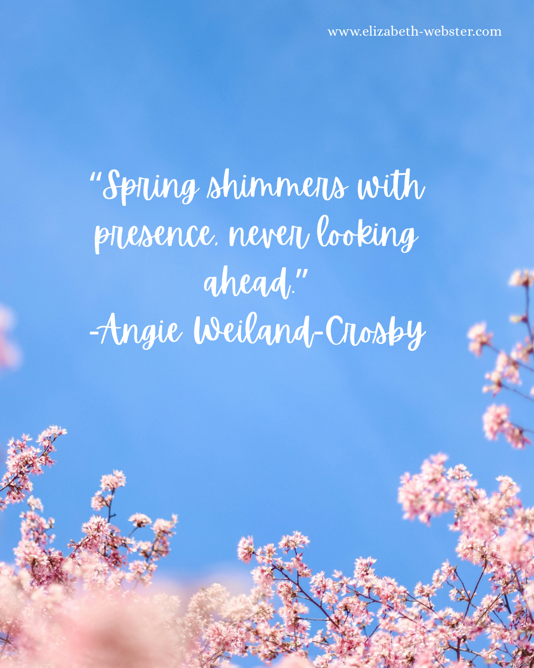 Spring Equinox Inspiration