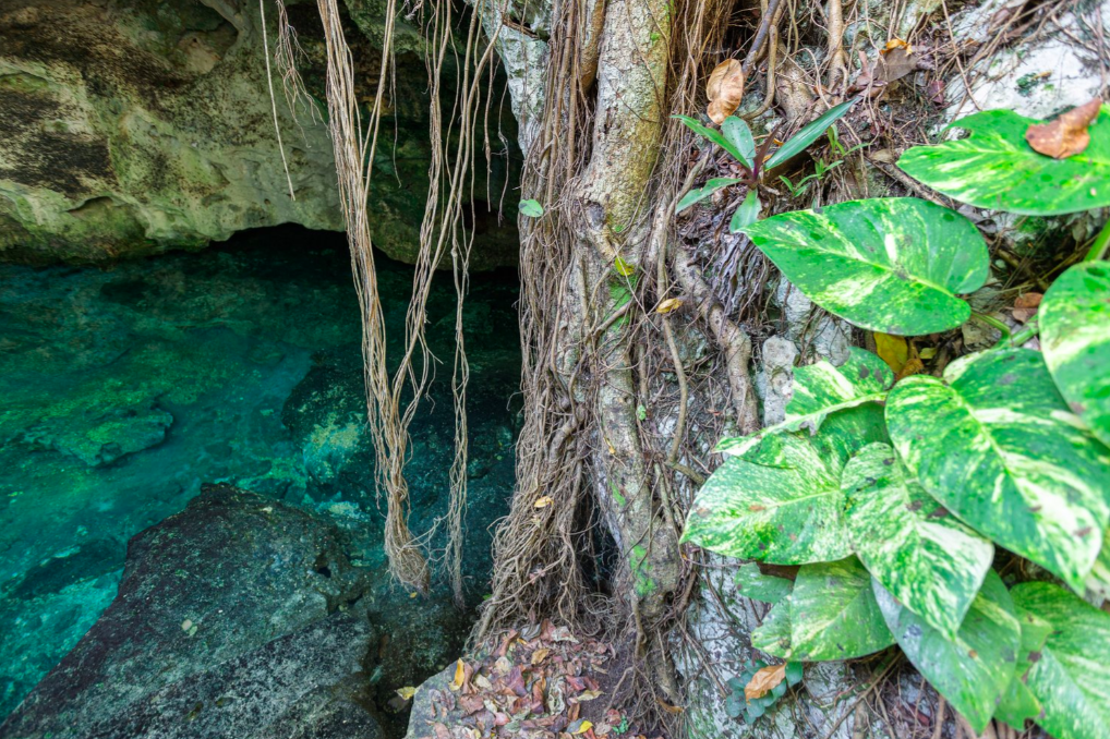 Screen Shot 2024-01-17 at 7.54.31 PM.png