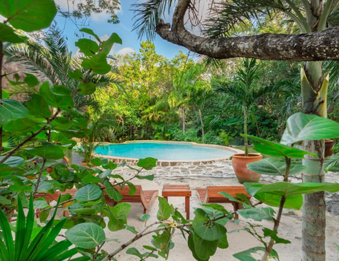 Screen Shot 2023-07-01 at 3.59.03 PM.png