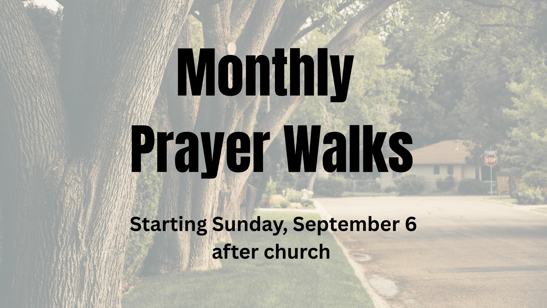 Monthly Prayer Walk