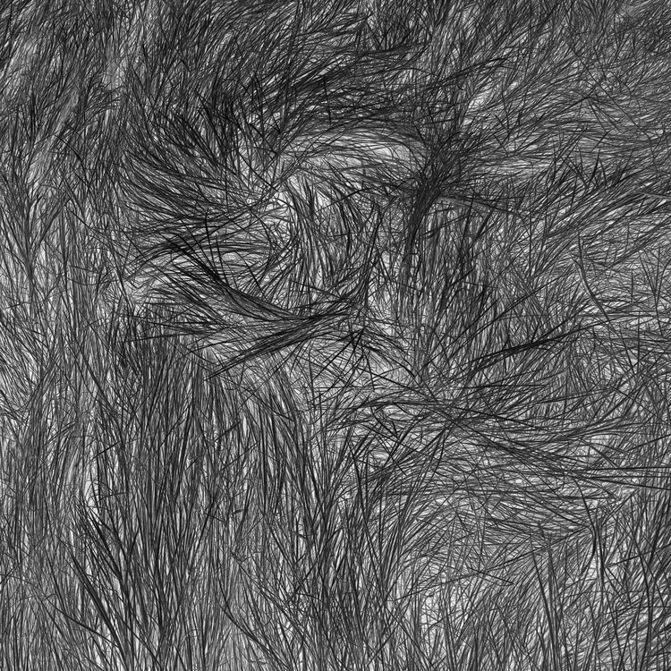 Ucross Foundation Artist in Residence