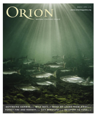 Orion Magazine March/April 2015