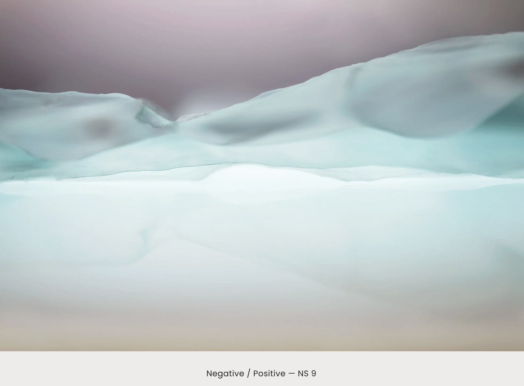 Houston Center of Photography Auction