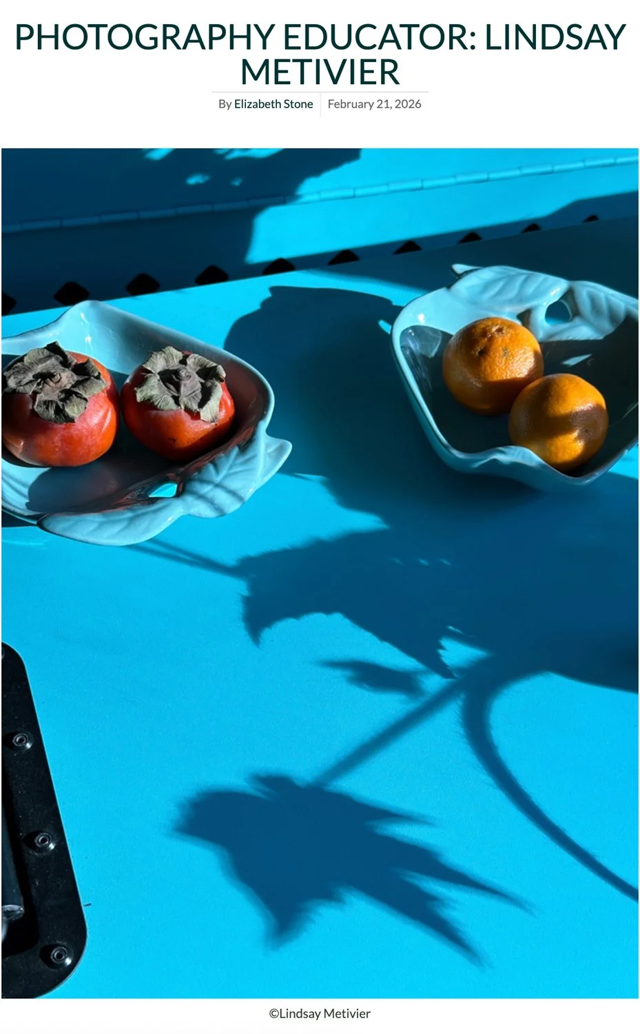 Photography Educator: Lindsay Metivier