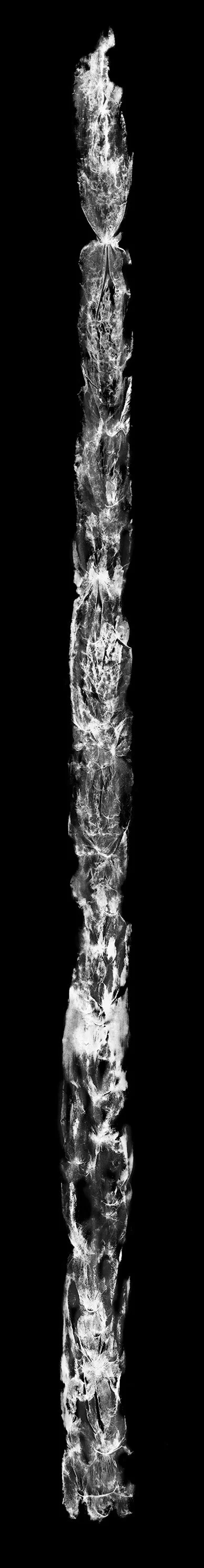 Younger Sister 2, 2022, 12” x 75”