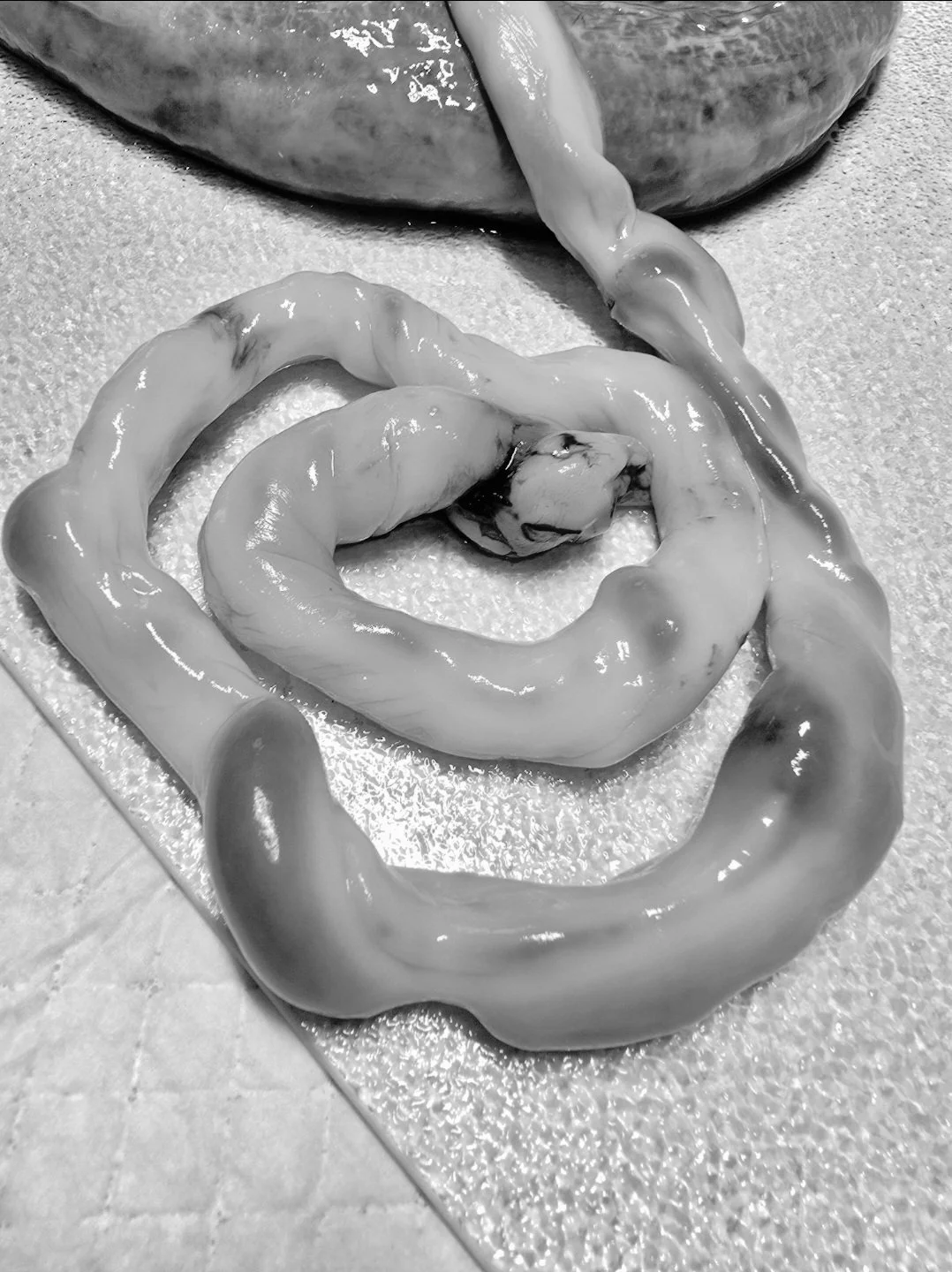 Close-up of raw squid tentacles and body laid out on a textured surface.