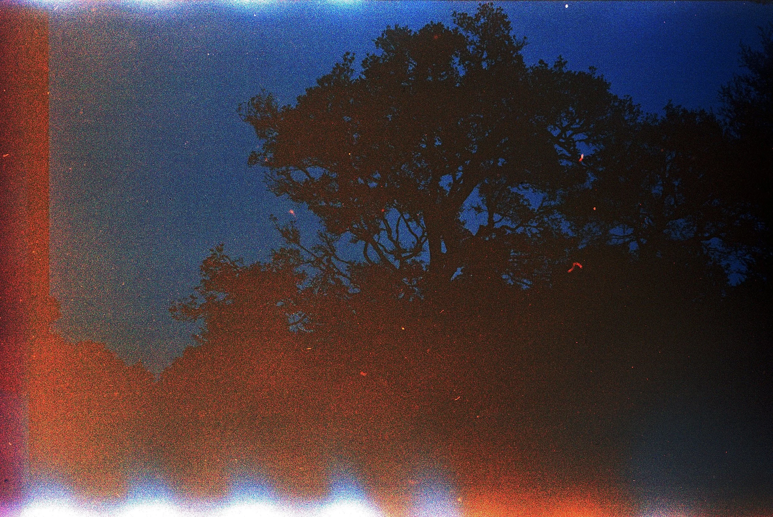 accidental opening of camera.jpg