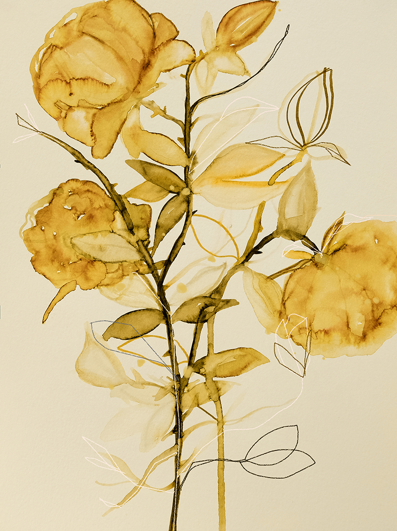 Rose Bush Yellow - FINE ART MATTE PRINT — Leigh Viner, image size:800x1070