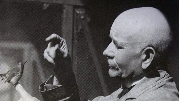 History of Birding and Bird Conservation in Germany