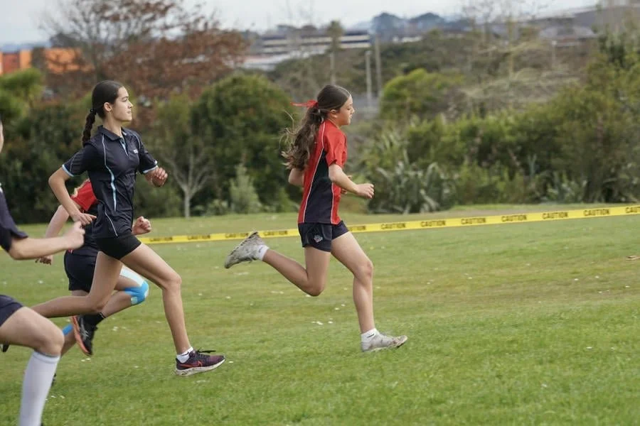 SEZ X Country-4.jpg