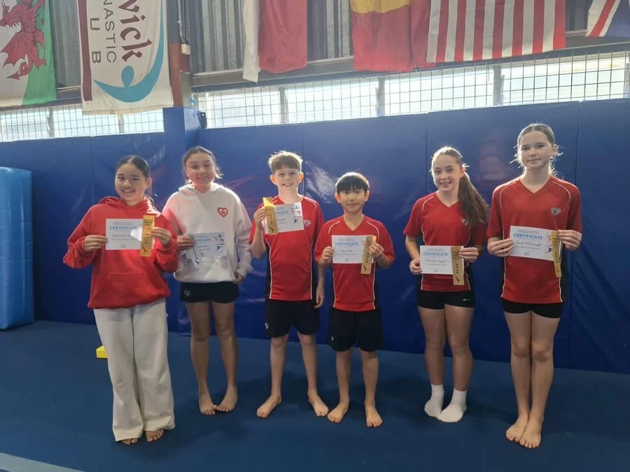 Gymnastics Fest.jpg