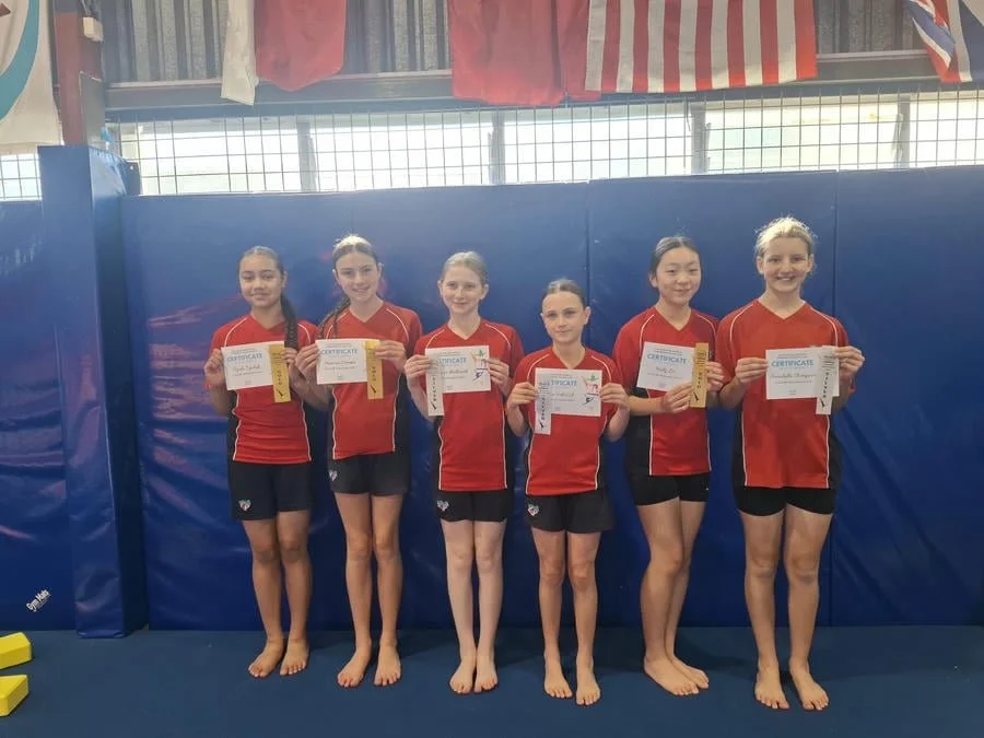 Gymnastics Festival 