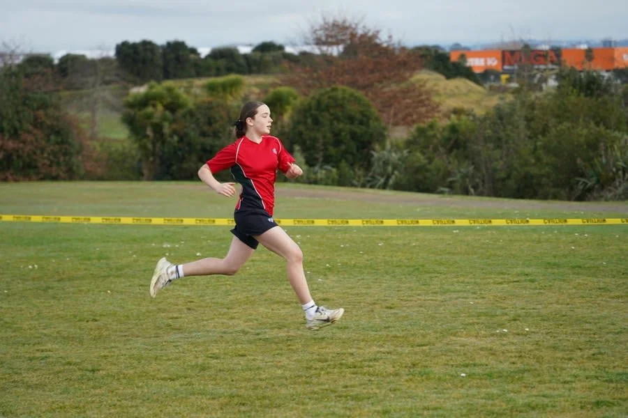 SEZ X Country-2.jpg