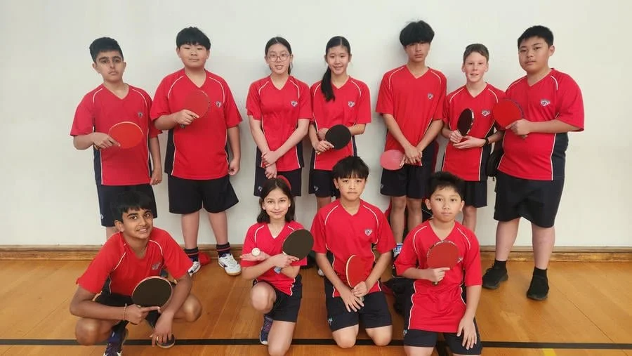 SEZ Table Tennis