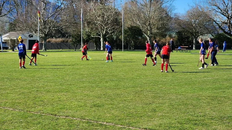 Totara-8.jpg