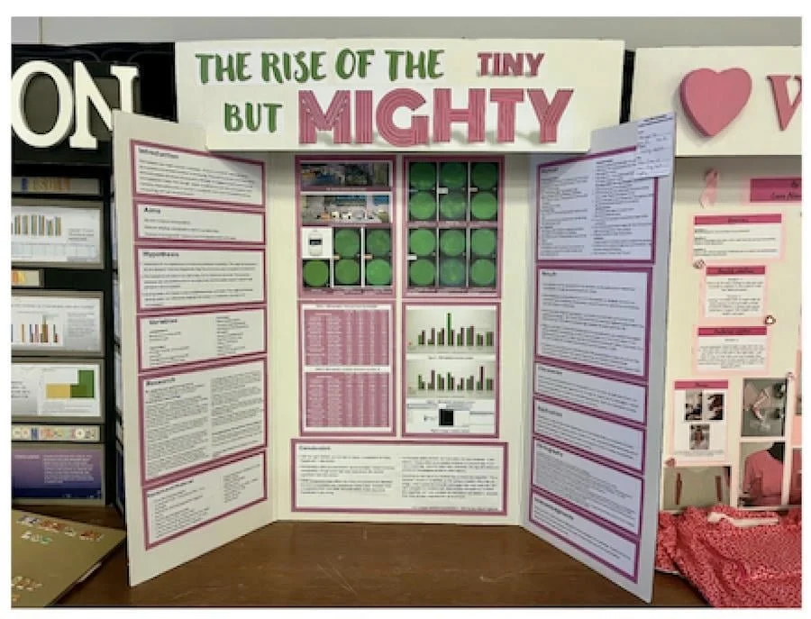 STEAM/Innovations Science Fair Results