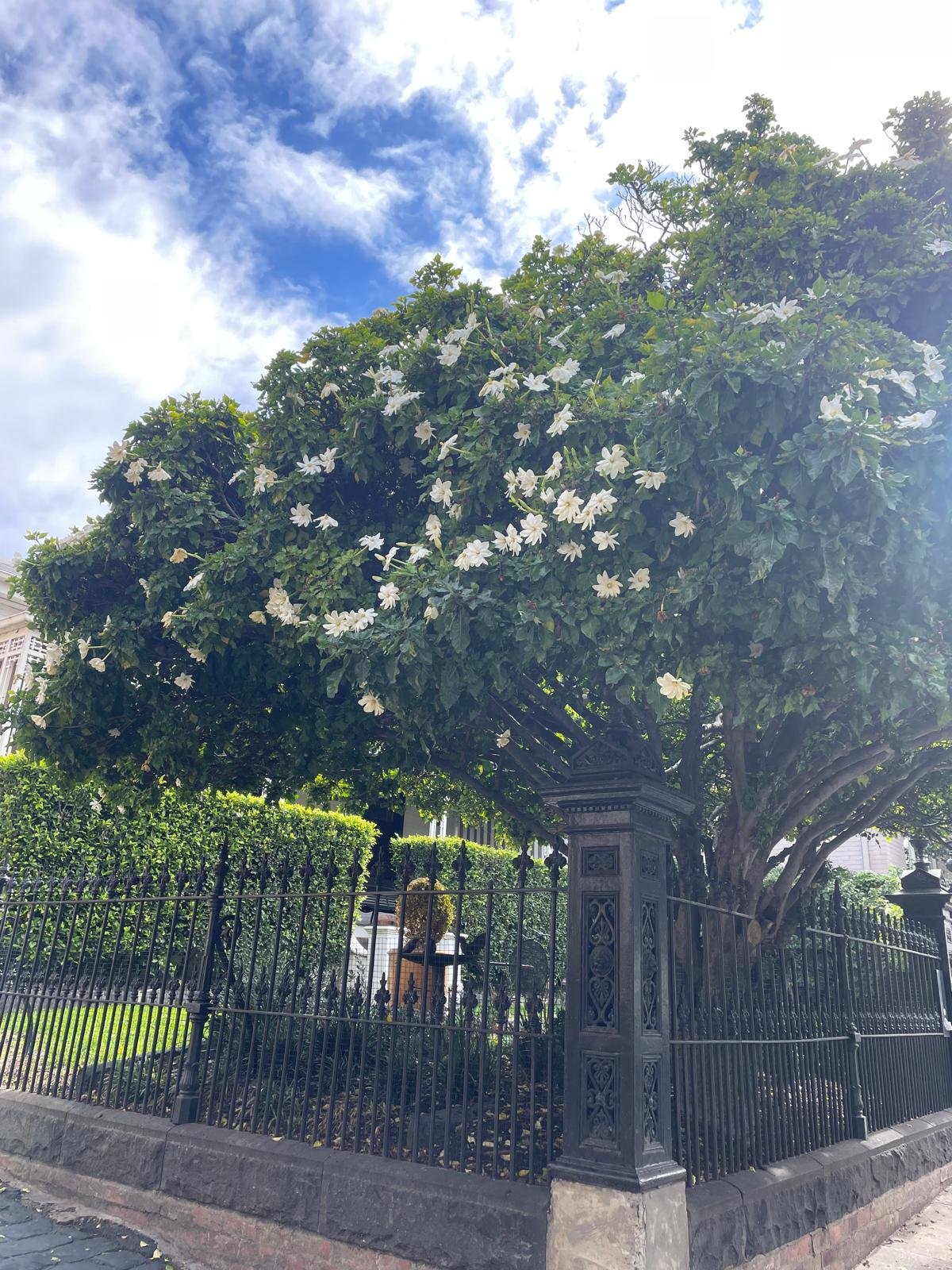 In praise of older gardens