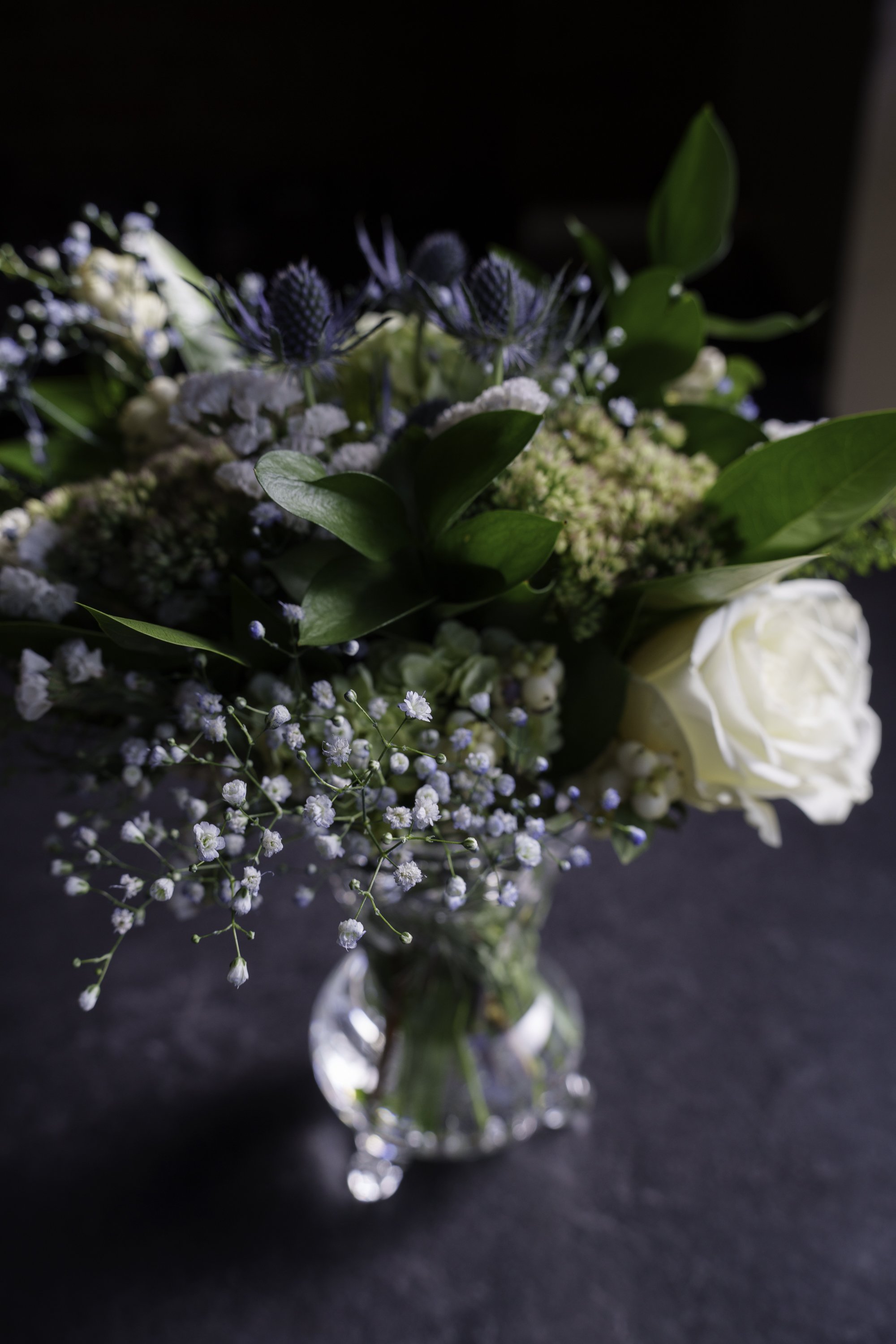 DSC00503.jpg