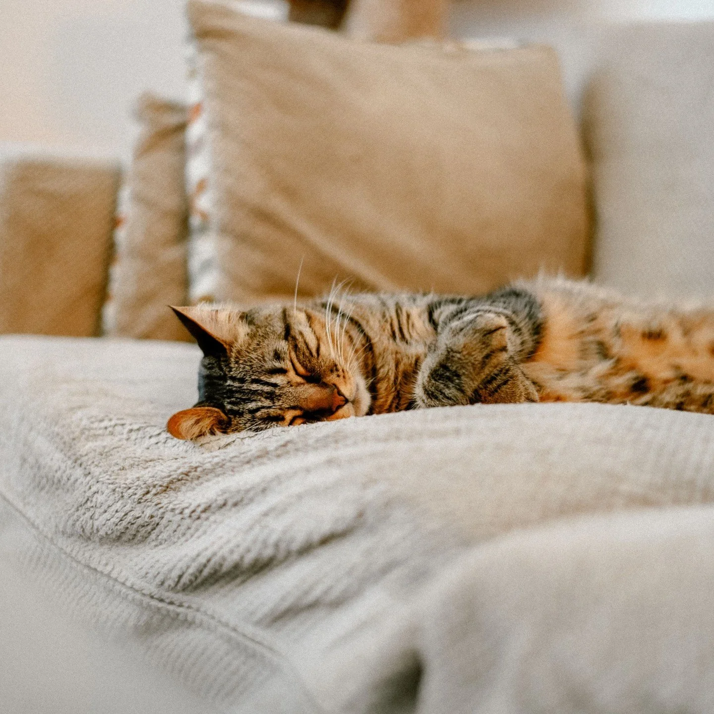 Het woord &lsquo;mindfulness&rsquo; associeer je algauw met fijne gevoelens. Maar 𝐦𝐢𝐧𝐝𝐟𝐮𝐥𝐧𝐞𝐬𝐬 𝐭𝐫𝐚𝐢𝐧𝐢𝐧𝐠 𝐢𝐬 𝐠𝐞𝐞𝐧 𝐟𝐞𝐞𝐥-𝐠𝐨𝐨𝐝 𝐭𝐫𝐚𝐢𝐧𝐢𝐧𝐠. Sorry to burst that bubble 🫧  Maar je kunt het maar beter weten voordat je aa