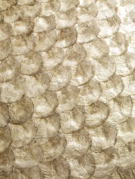 38ea588ffa0e716a5883c56b95c342a9 (1).jpg