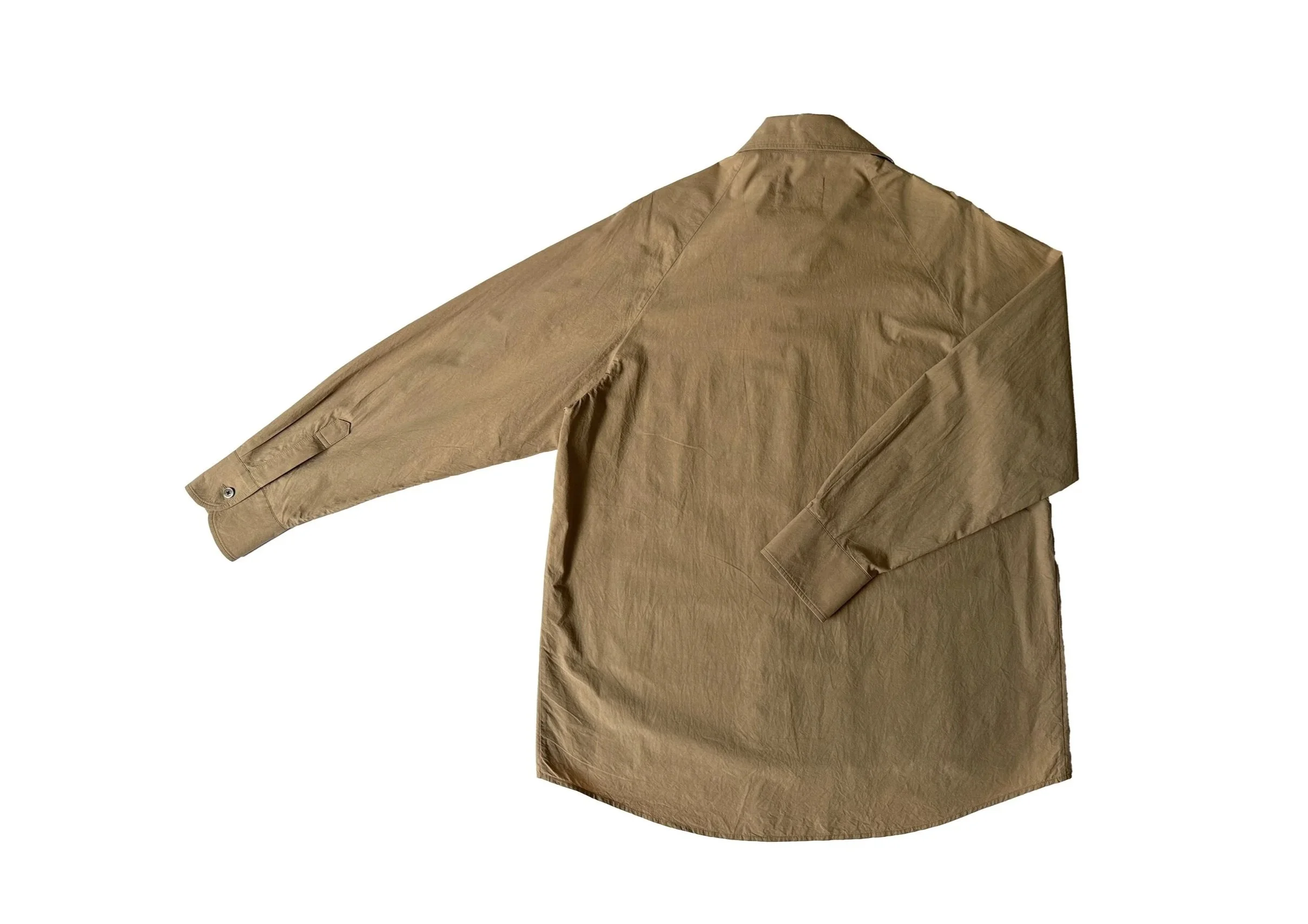 brownshirt2.jpg