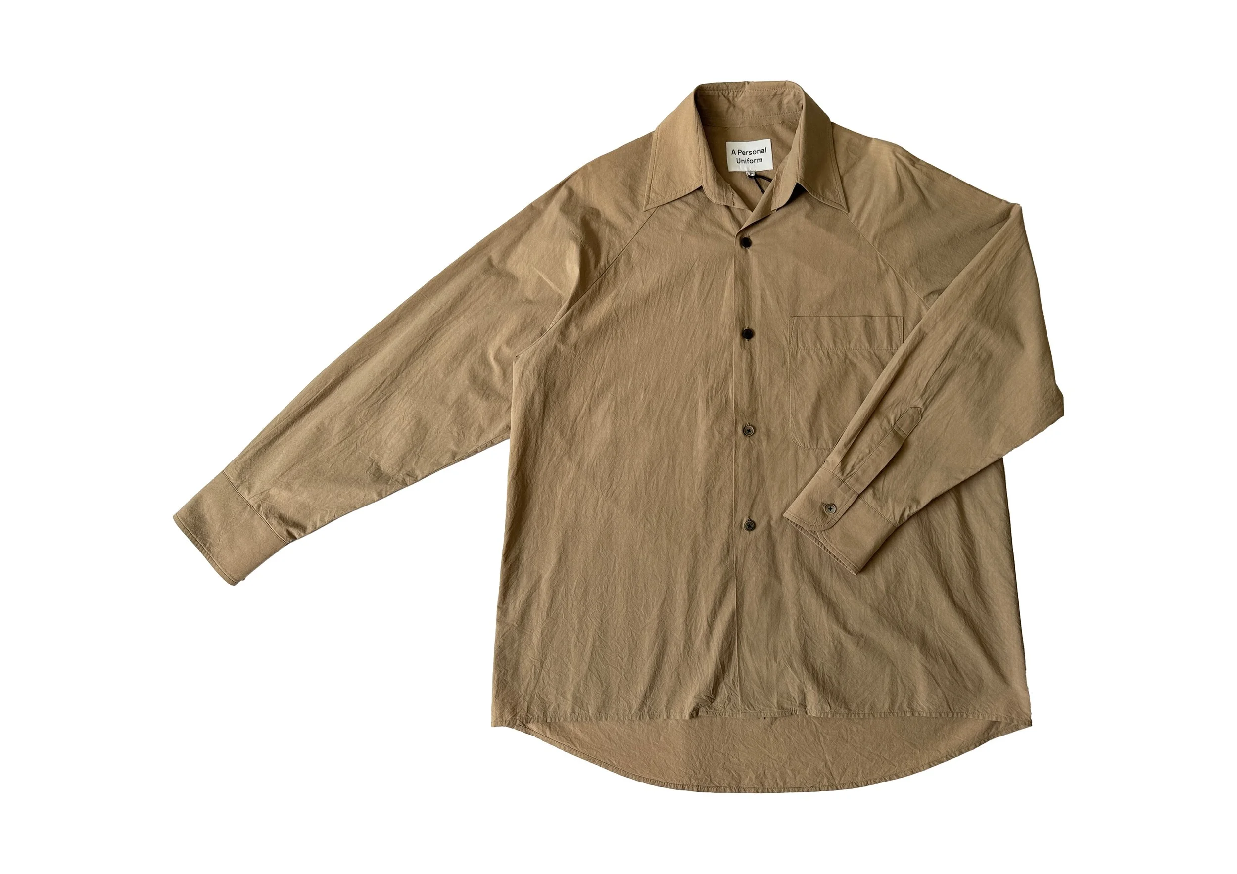 brownshirt1.jpg