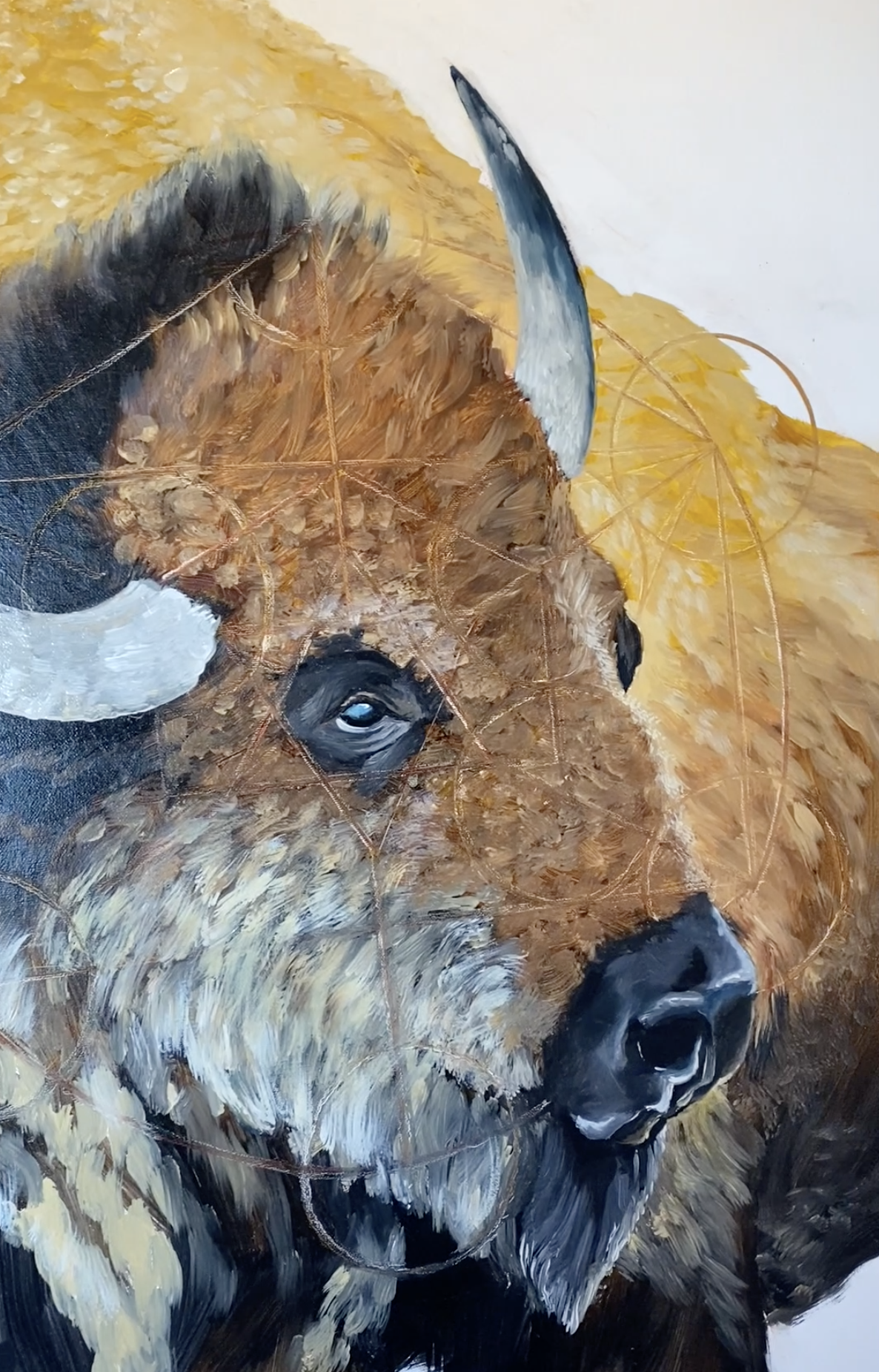 Screenshot 2026-01-16 at 10.02.49.png