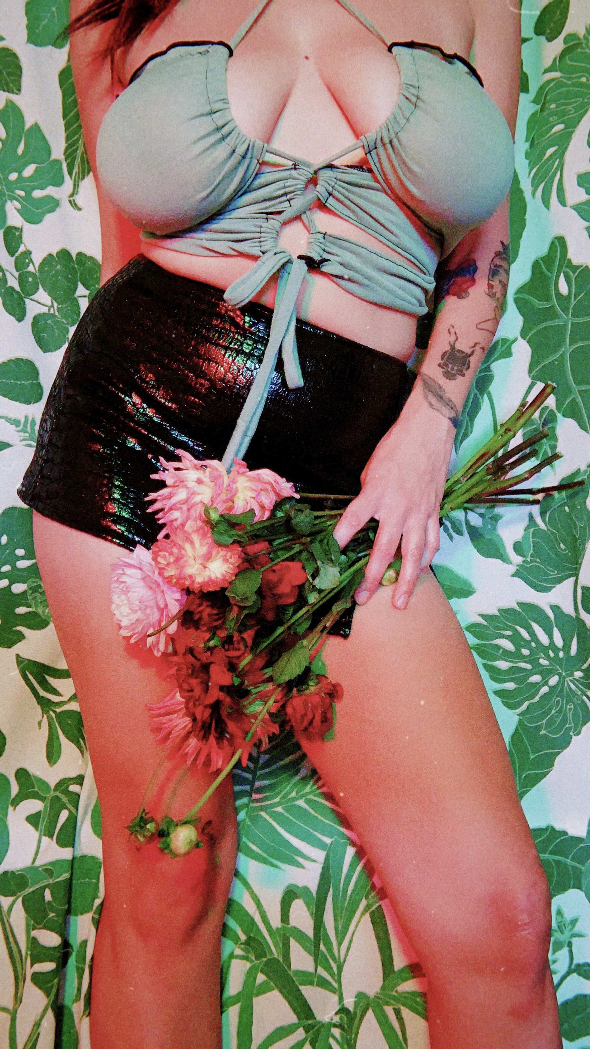 Alexandrea Anissa Mallory Crop Top