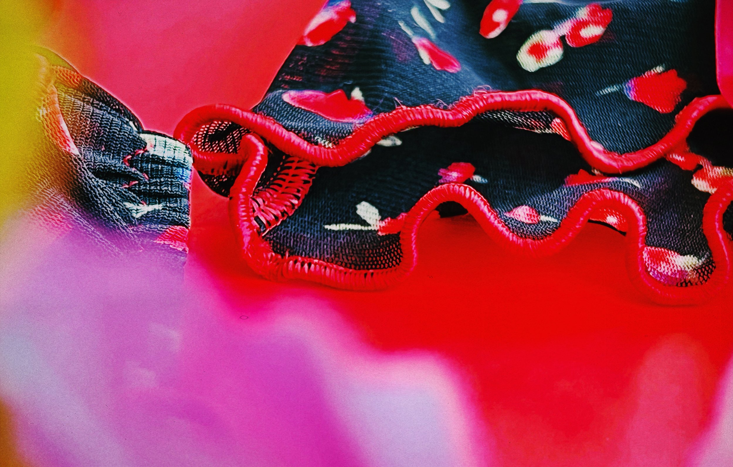 Close~up of the black lingerie with red ruffled hem and floral details, styled against a vibrant red background with soft pink and yellow flowers.