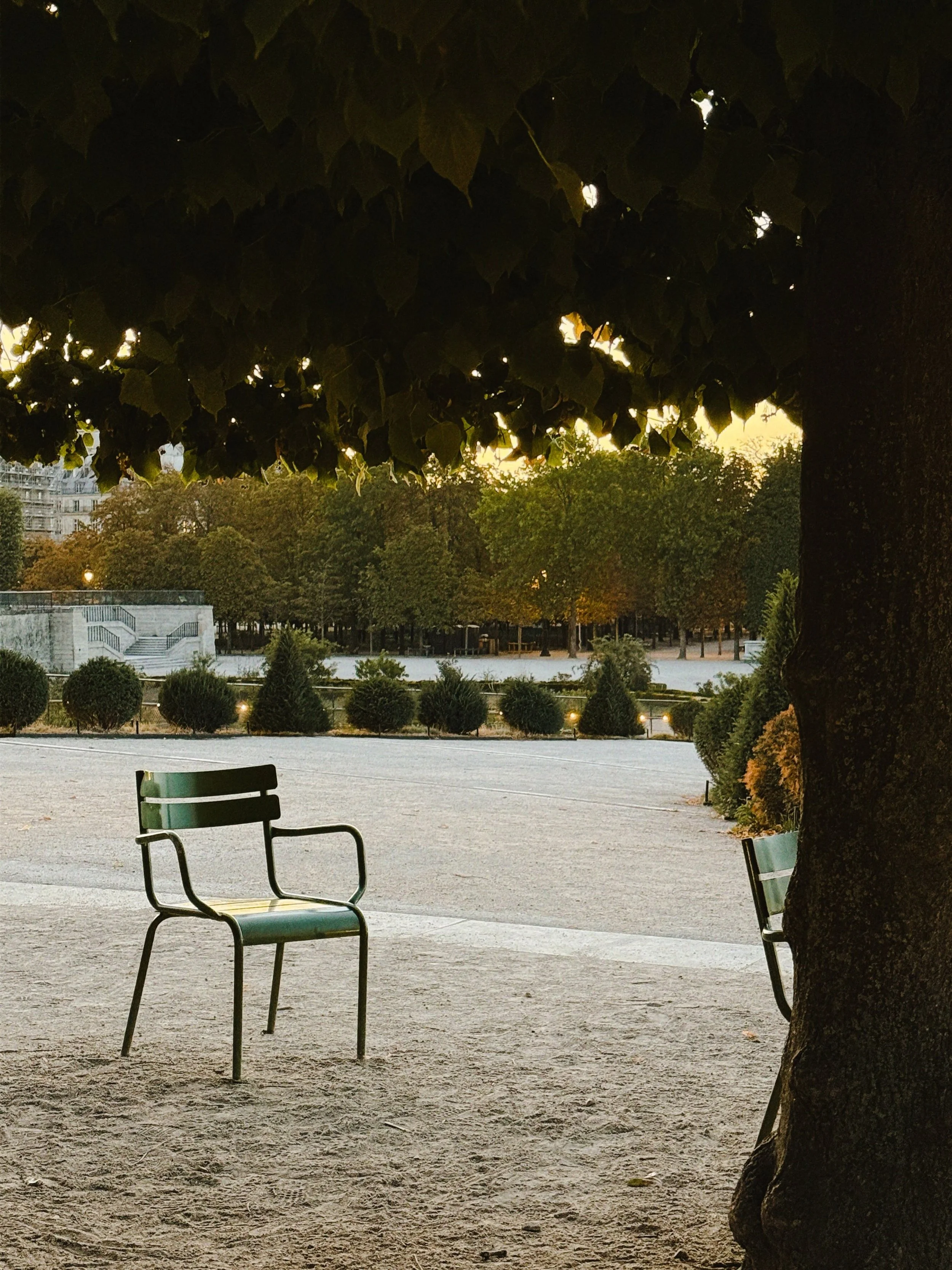 Quiet early morning in Paris 😌🌅

#quietmorning #cinematicvibes #parisphotography