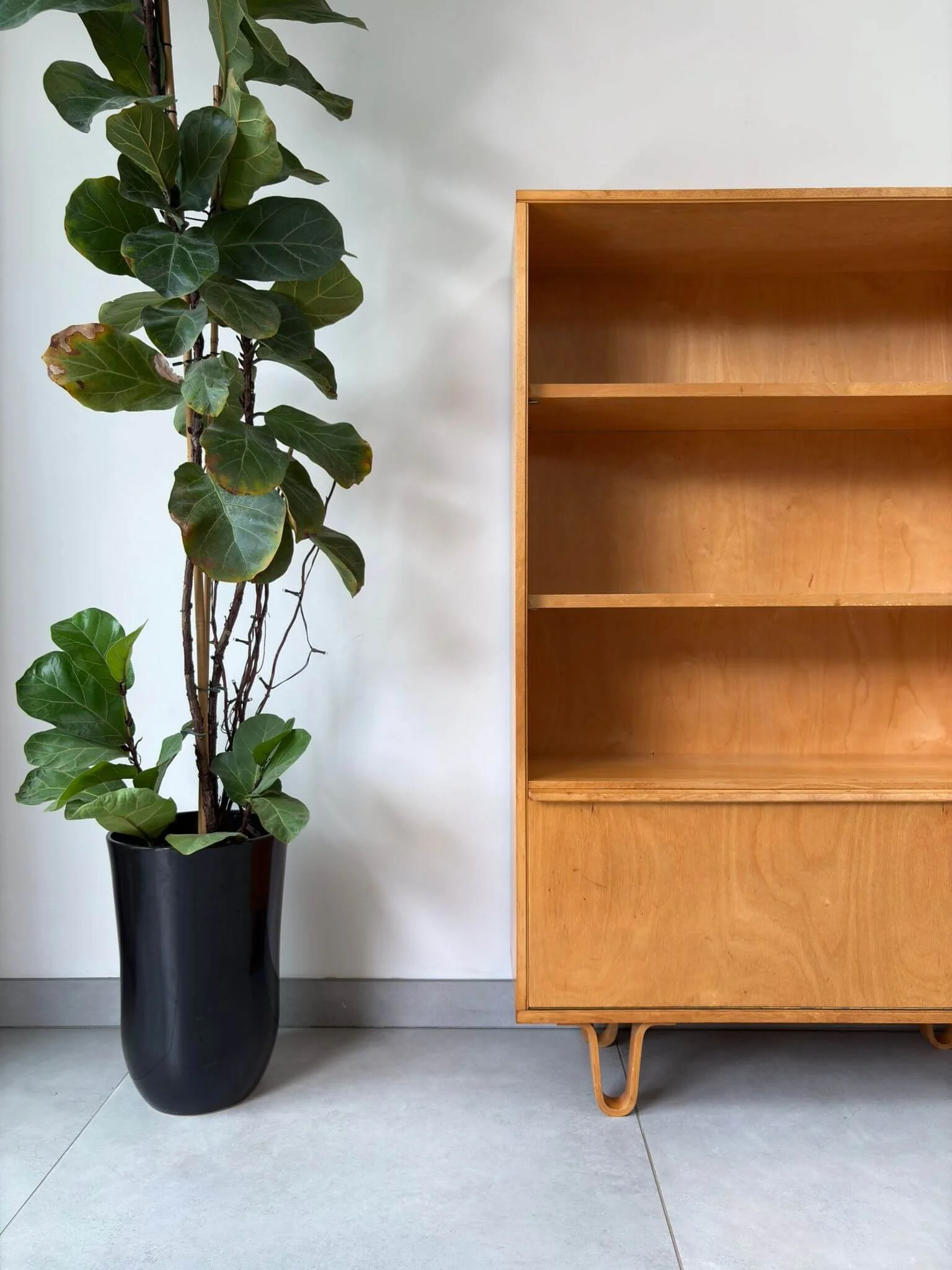 Vintage Pastoe BB03 boekenkast Cees Braakman (17).jpg
