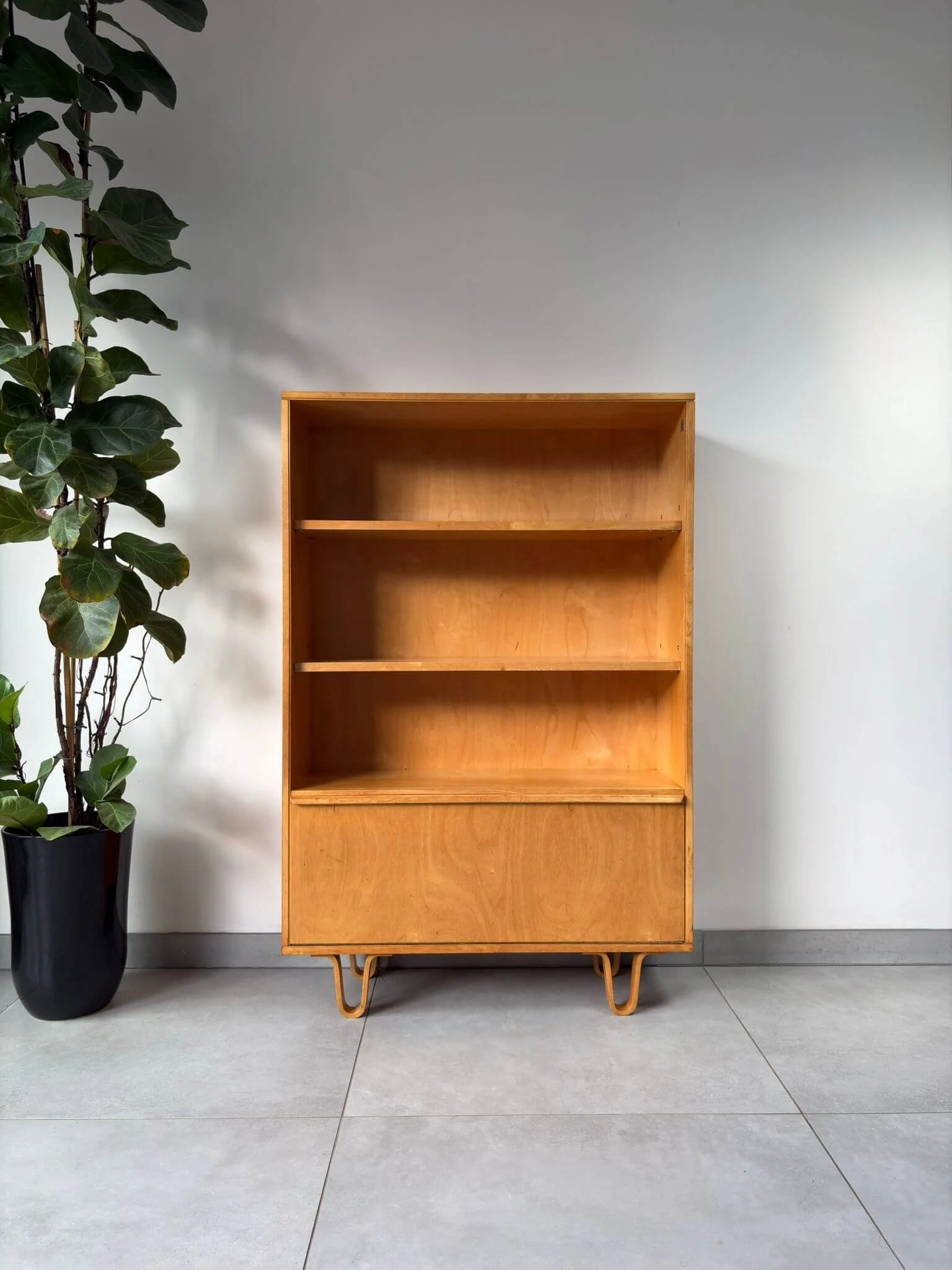Vintage Pastoe BB03 boekenkast Cees Braakman (7).jpg