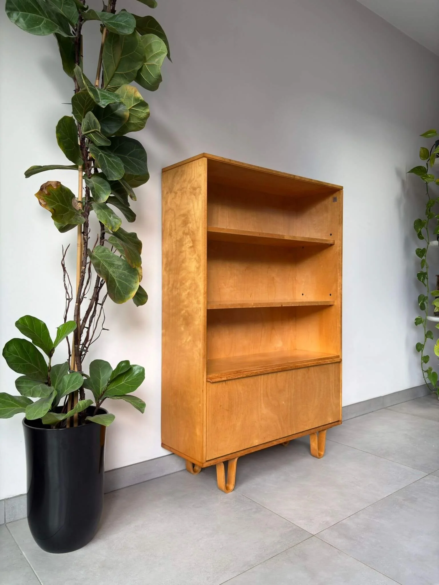 Vintage Pastoe BB03 boekenkast Cees Braakman (1).jpg