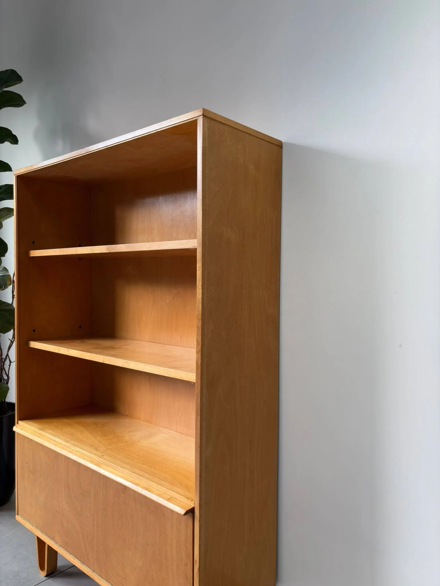 Vintage Pastoe BB03 boekenkast Cees Braakman (4).jpg