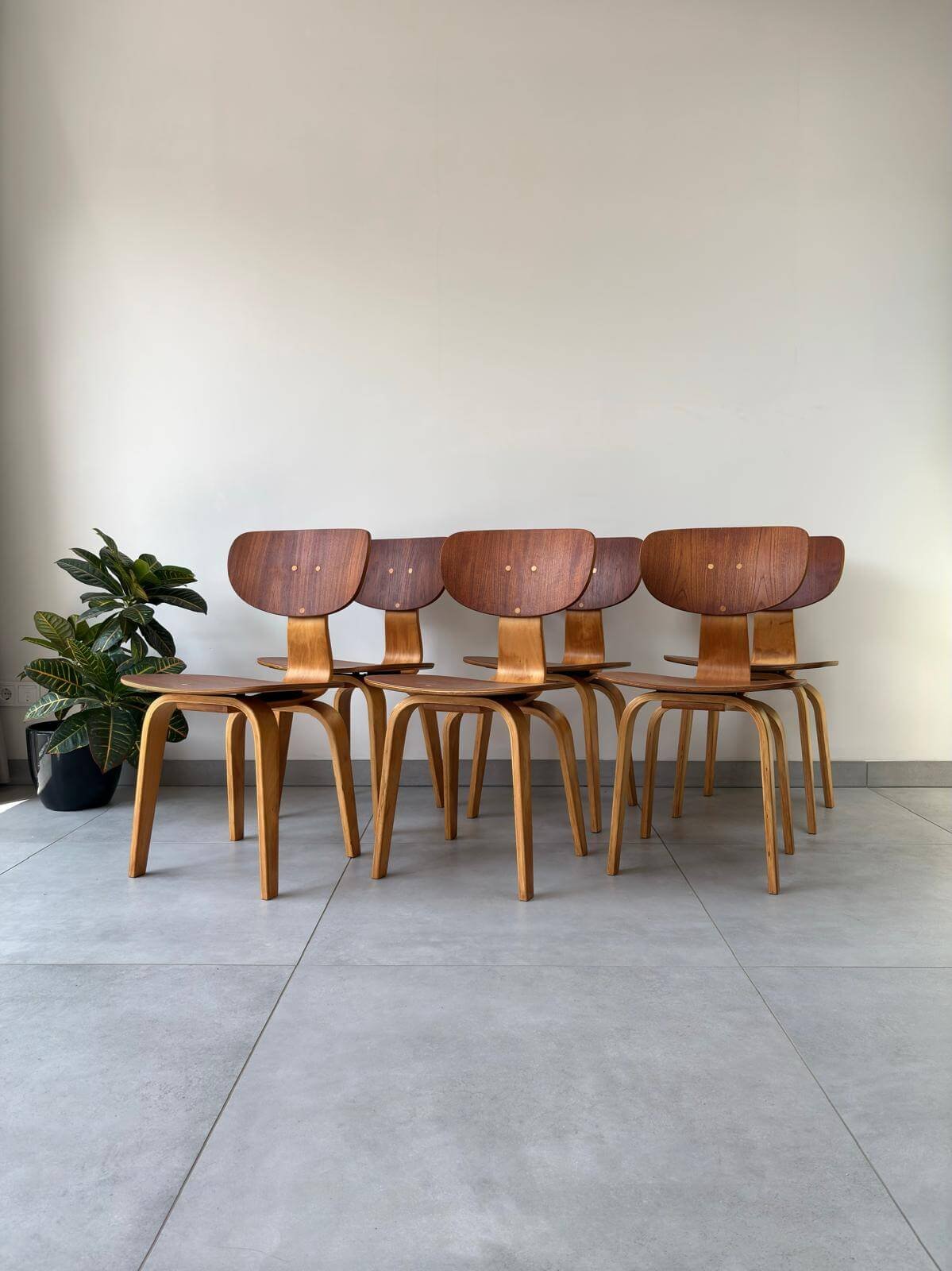 Set Vintage Pastoe SB02 Eetkamerstoelen Cees Braakman