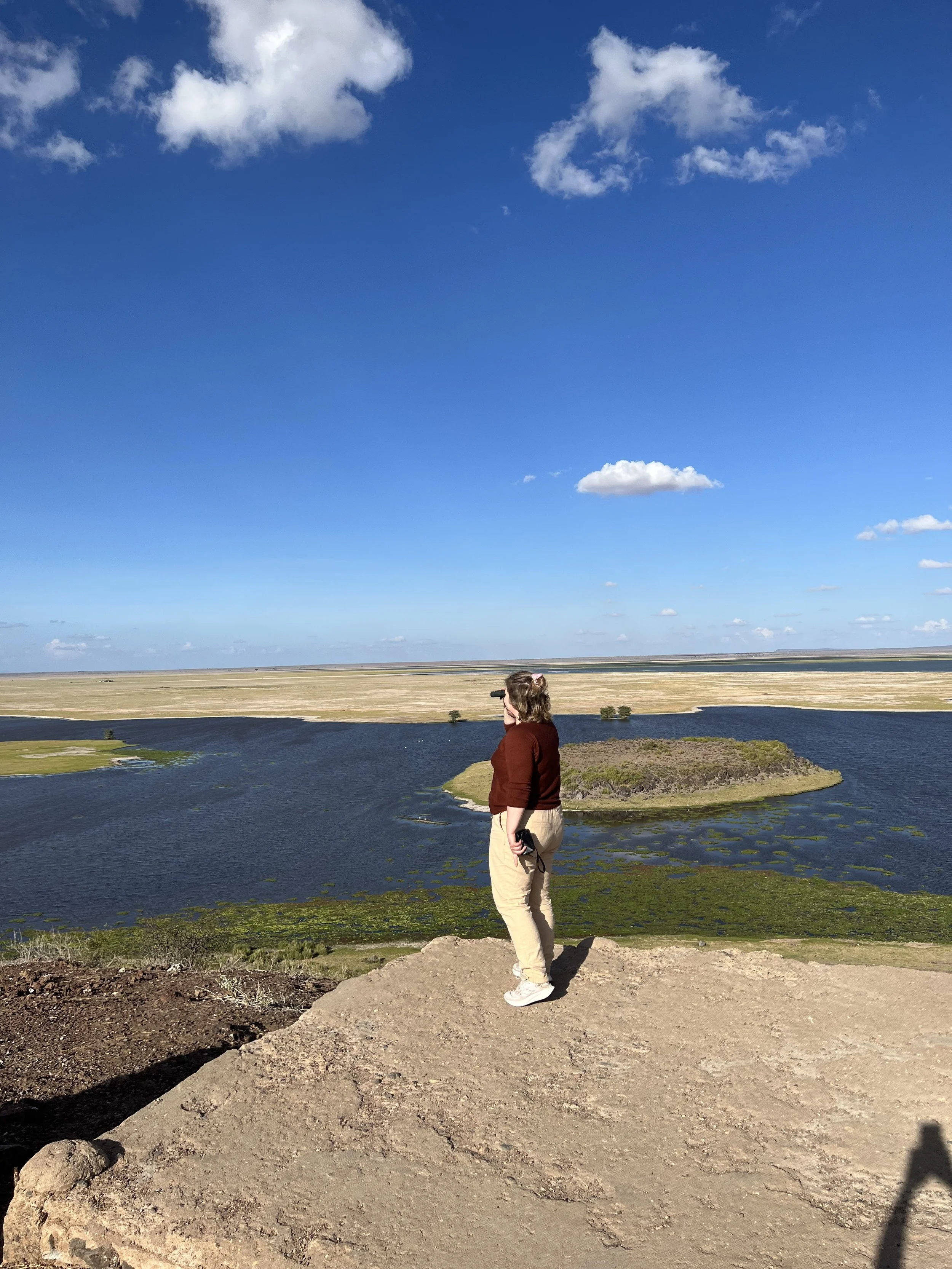 Marja Heinistö, löydä motiviisi