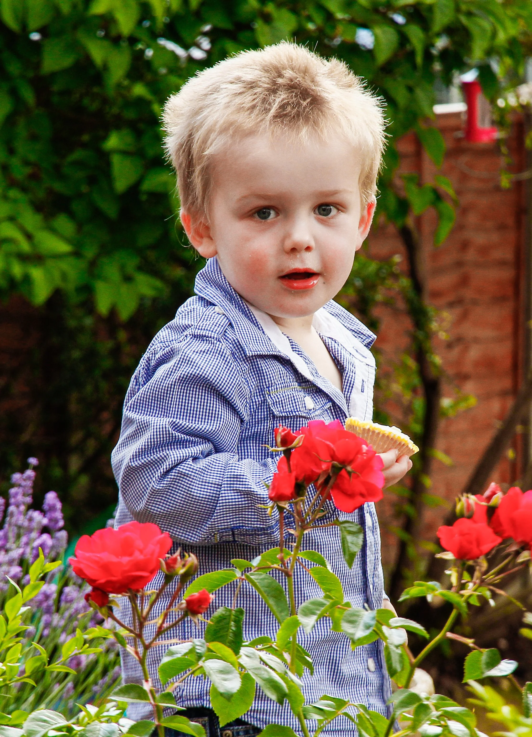 A young boy with blonde hair and blue eyes standing among colorful garden flowers, holding a piece of food in his hand, outdoors in a garden with greenery and red brick background.