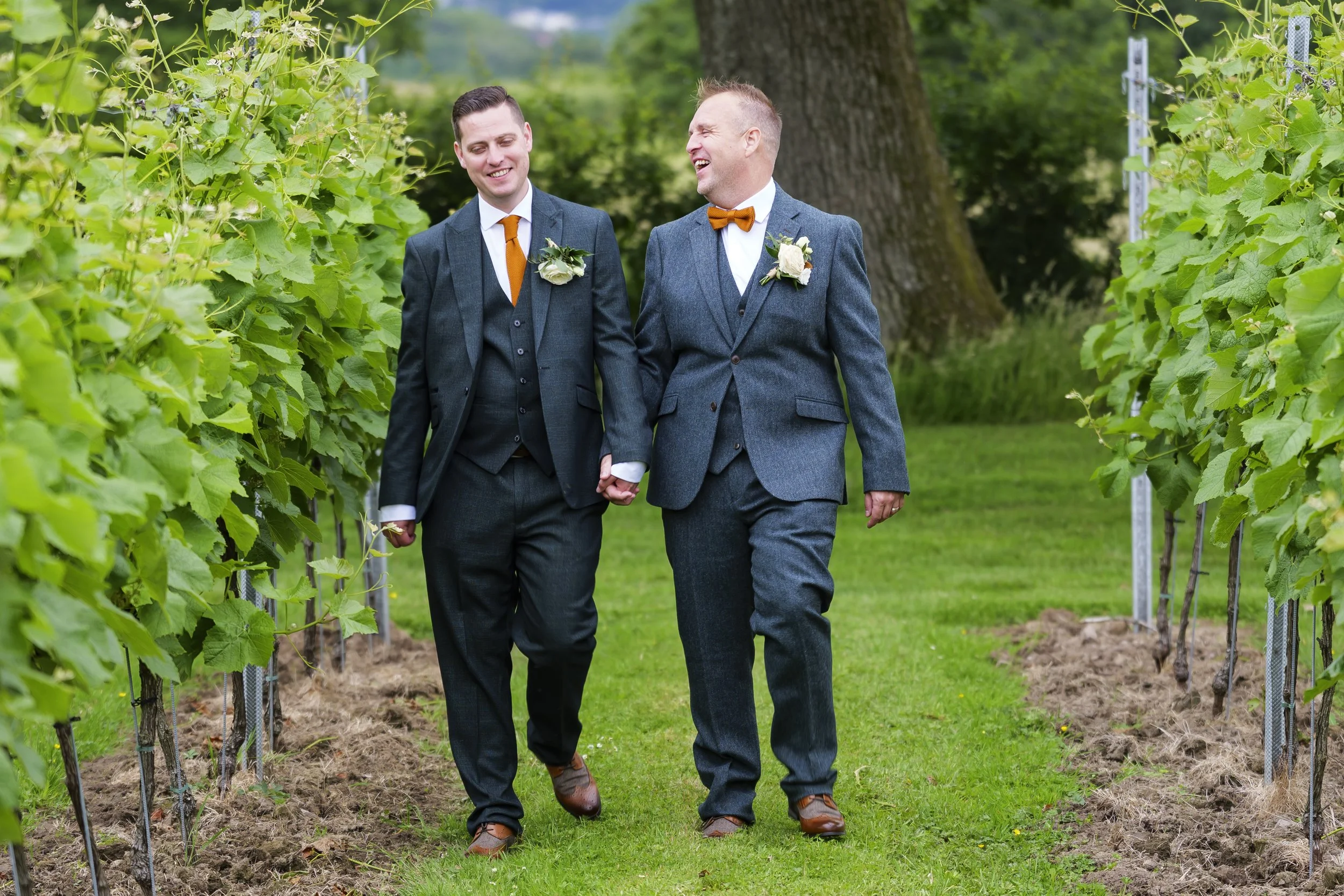 Two men in suits walking hand-in-hand through a vineyard, smiling and laughing.