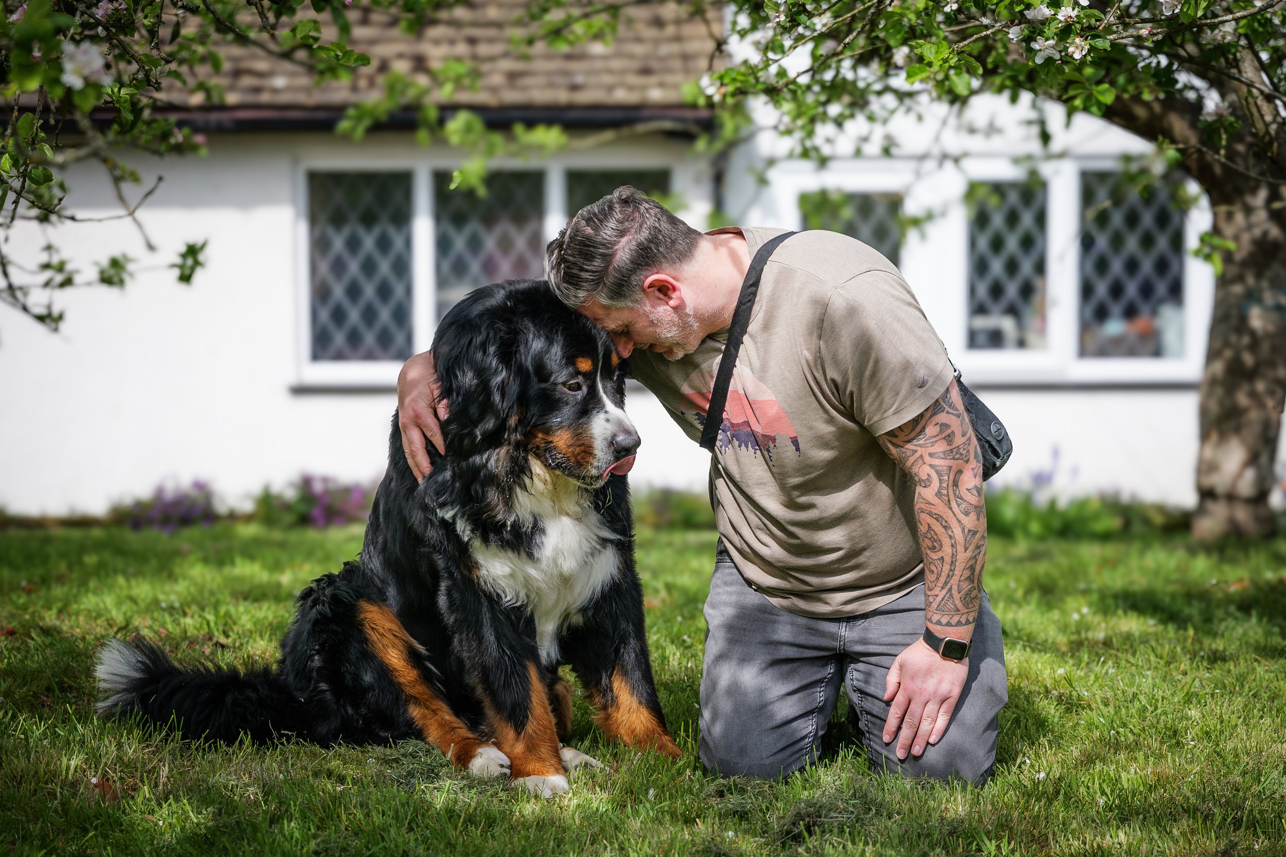 A man with tattoos on his arm kneeling and leaning his forehead against a large Bernese Mountain Dog, outside in a garden with trees and a white house in the background.