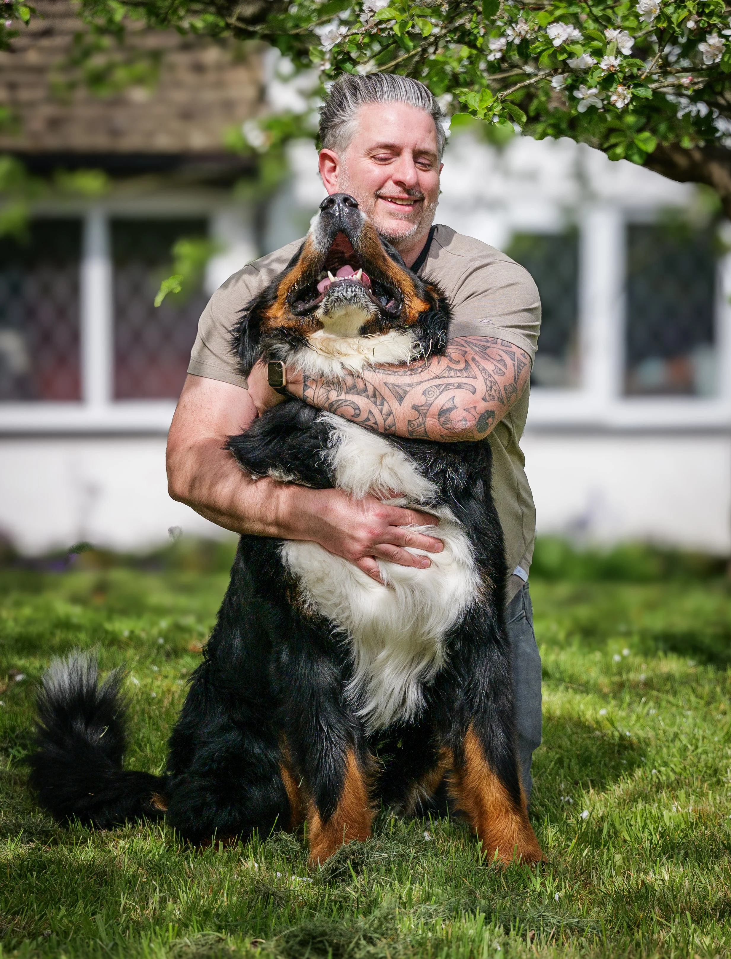 A man with gray hair, tattoos on his arm, smiling and hugging a large Bernese Mountain Dog outdoors in a garden with blooming flowers and green grass.