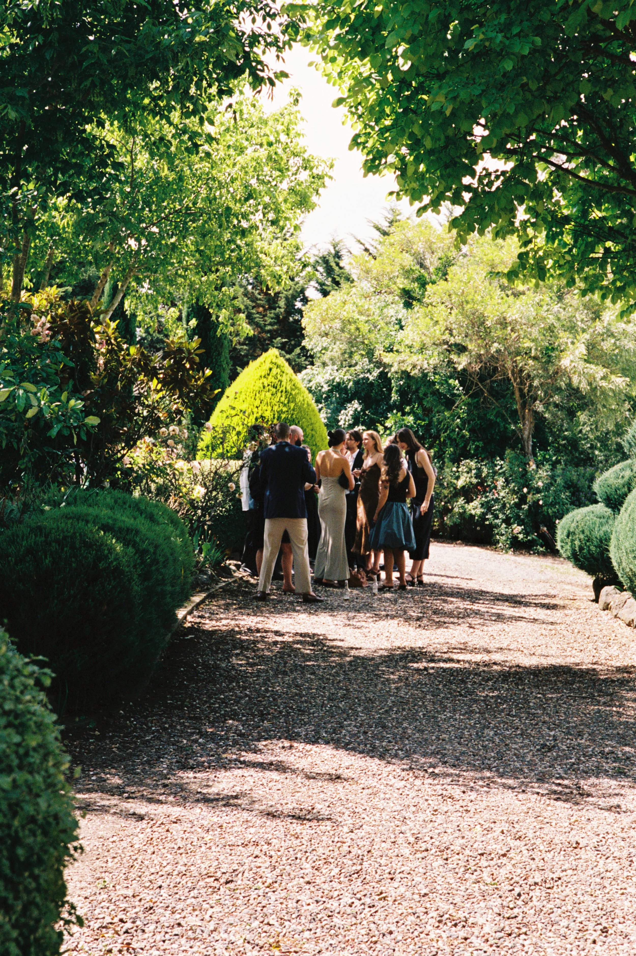 Group of people dressed formally, standing on a gravel path surrounded by lush green trees and bushes, enjoying a sunny day in a garden setting.
