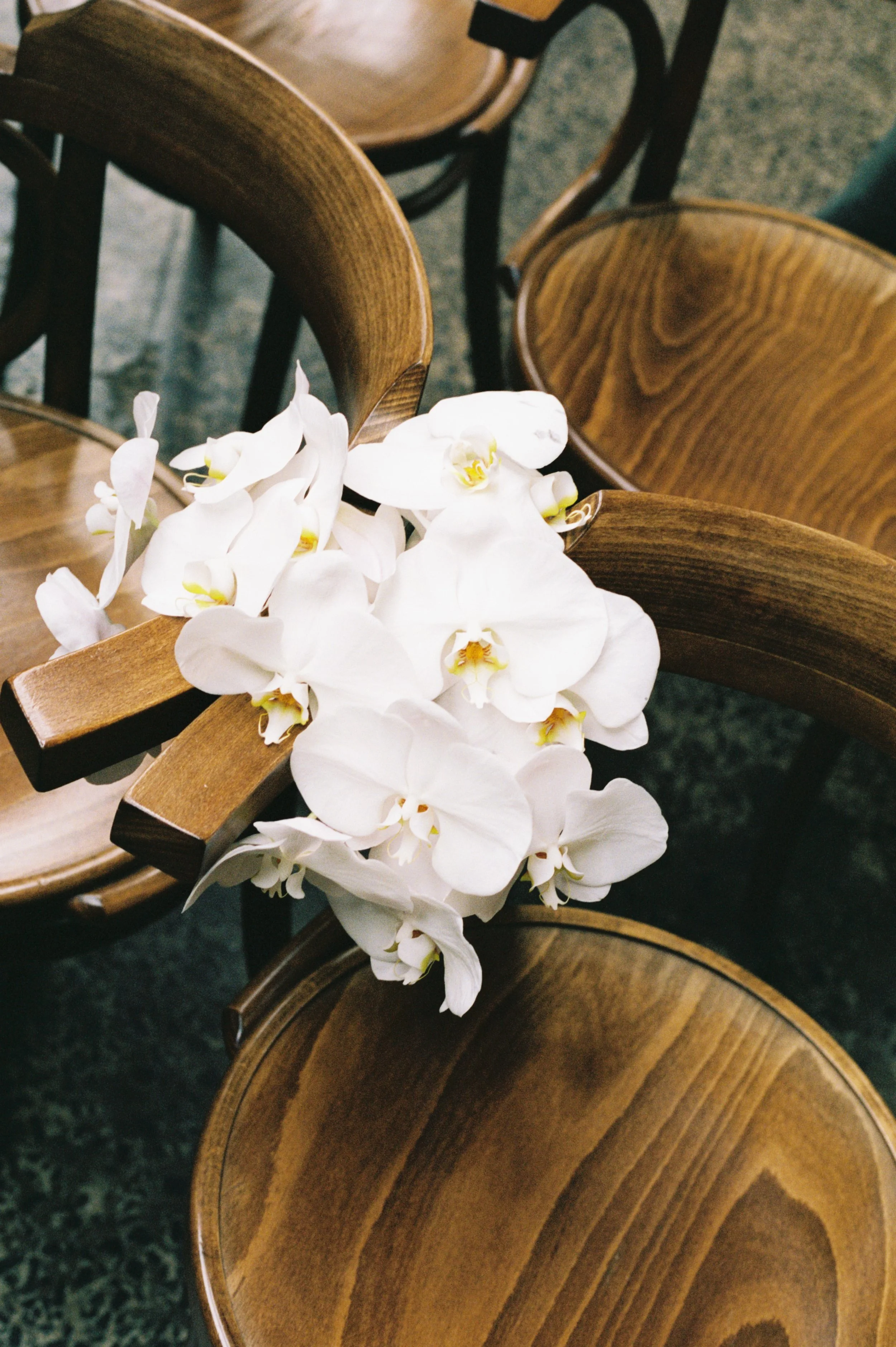 White orchids placed on the wooden armrest of a brown wooden chair.