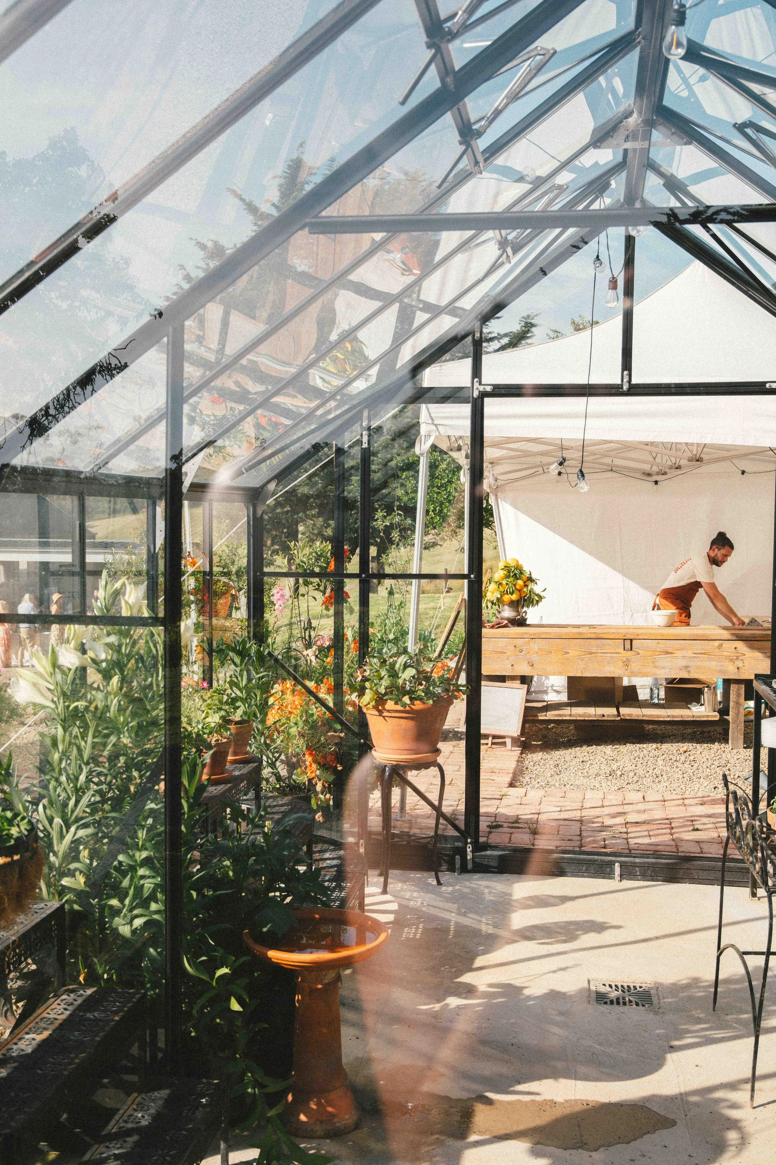 Inside a greenhouse with plants and flowers, a person preparing food in a tented outdoor kitchen area, with sunlight streaming through the glass.