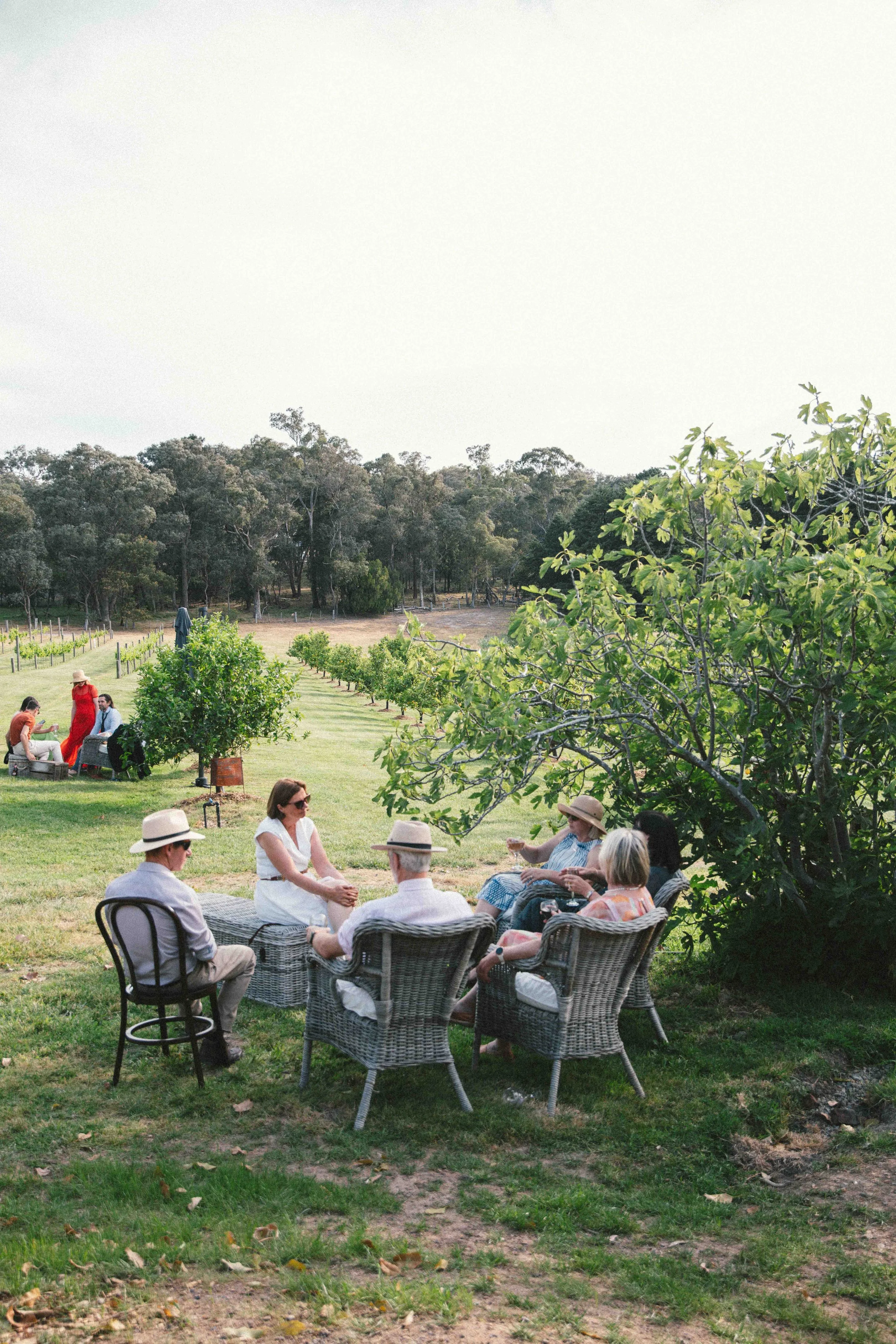 Group of people sitting on wicker chairs and a metal chair around a table outdoors in a garden with trees and greenery.