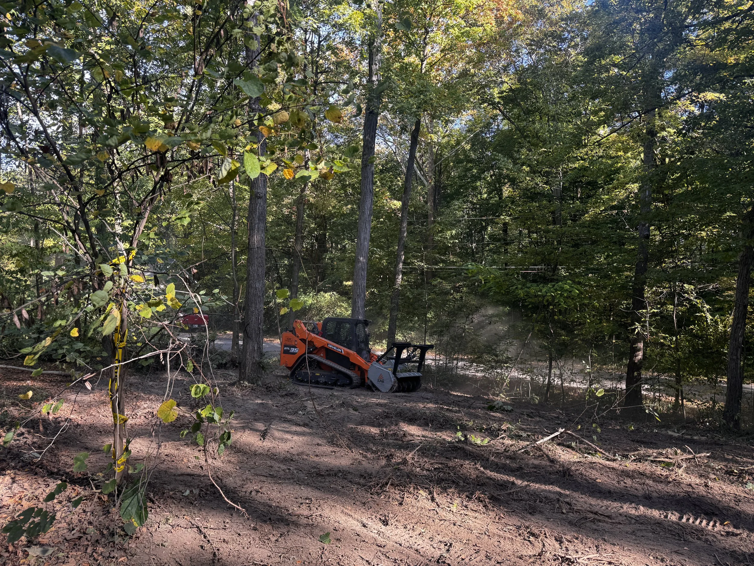 Clear the Way: Why DIY Land Clearing Might Cost More Than You Think