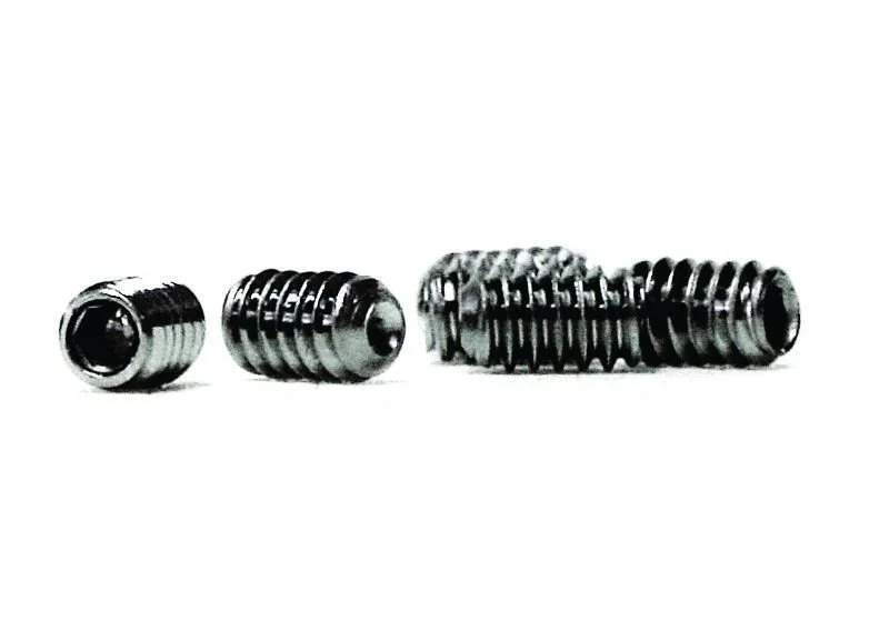 stainless_steel_screws_pack_of_12_-_sku_10010.jpg