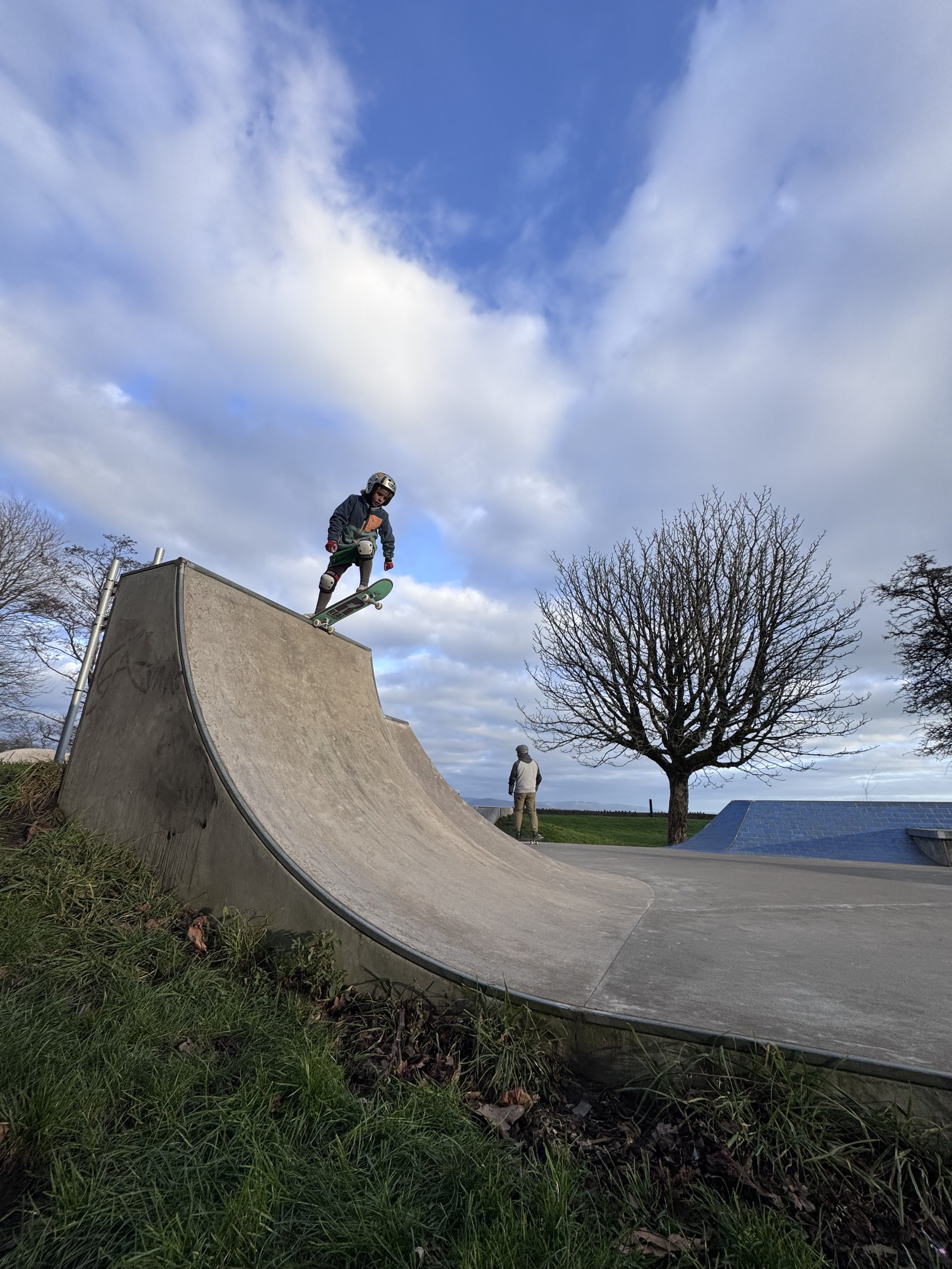 A person wearing a helmet skateboarding on a concrete ramp at a skatepark with another person standing nearby and a leafless tree in the background under a cloudy sky.