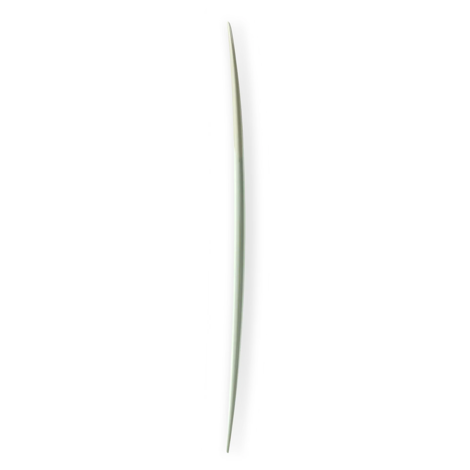 TJ_Singleton_R.png.webp