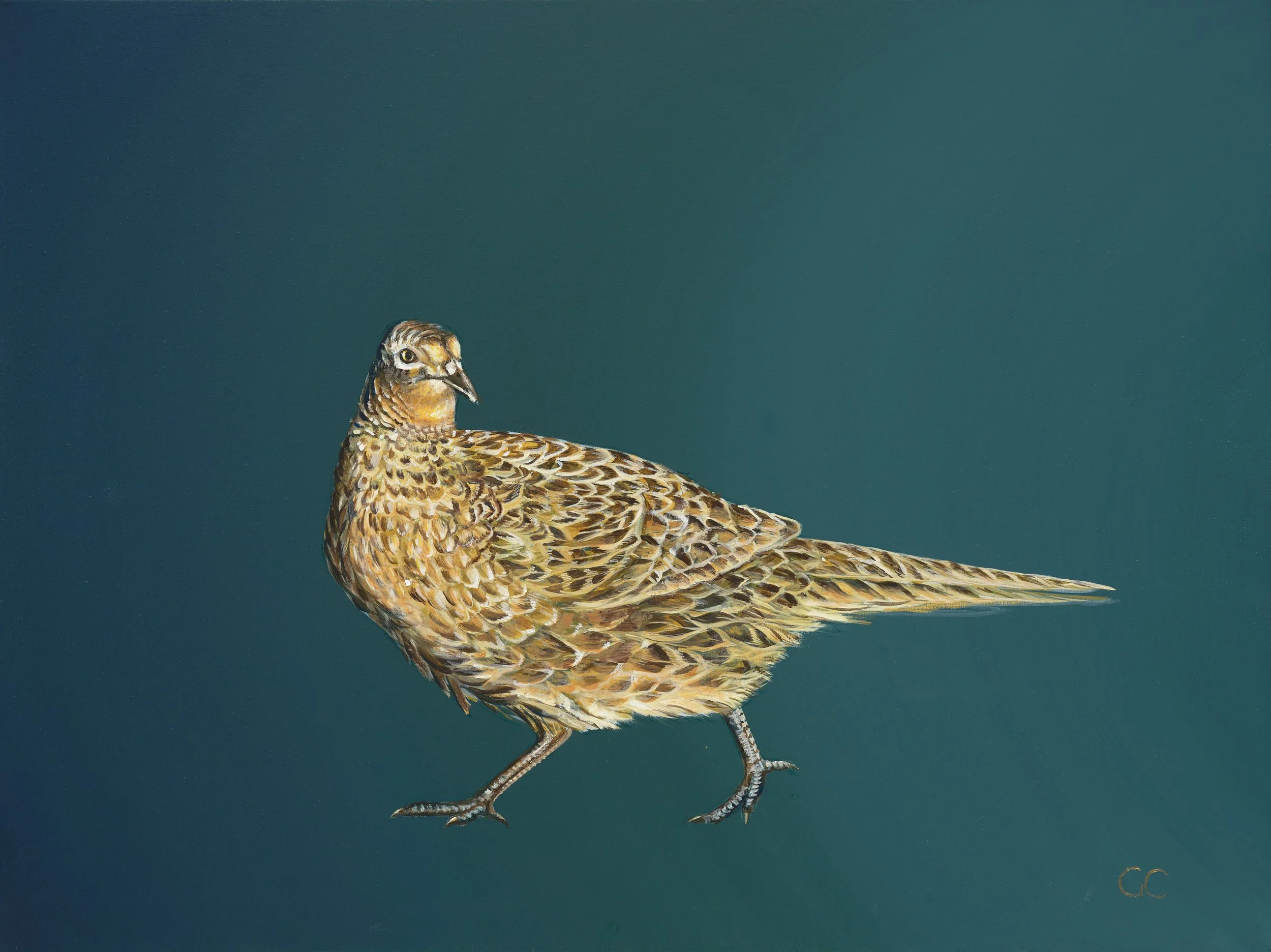 Female Pheasant_Green.jpg
